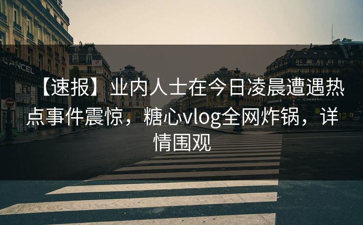 【速报】业内人士在今日凌晨遭遇热点事件震惊，糖心vlog全网炸锅，详情围观