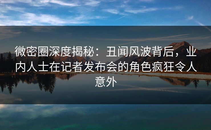 微密圈深度揭秘：丑闻风波背后，业内人士在记者发布会的角色疯狂令人意外