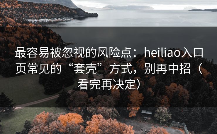 最容易被忽视的风险点：heiliao入口页常见的“套壳”方式，别再中招（看完再决定）